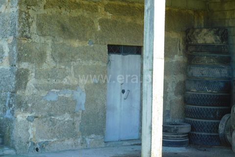 Terra a Seia, Guarda, Seia - € 130.000 | Ref: 382240149 - foto 10