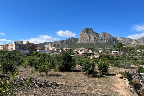 Helårsgrund i Polop, Alicante, Polop - € 53.000 | Ref: 10055 - foto 4