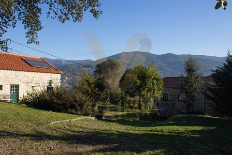 Landejendom i Ponte de Lima, Viana do Castelo, Ponte de Lima - € 250.000 | Ref: V171/V173 - foto 4
