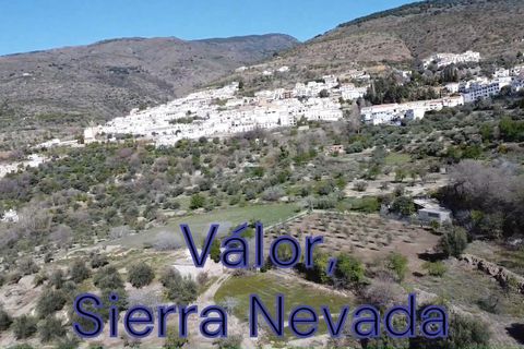 Rækkehus i Valor, Granada, Valor - € 18.900 | Ref: Los Naranjos 10 - foto 22
