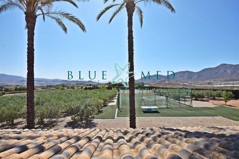Villa i Leiva, Murcia, Leiva - € 675.000 | Ref: CASACOLORA/10254 - foto 24
