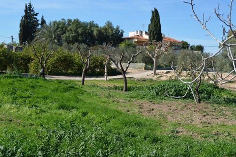 Landejendom i Valladolises, Murcia, Valladolises - € 429.000 | Ref: VALLADOLISESFARM/10254 - foto 3
