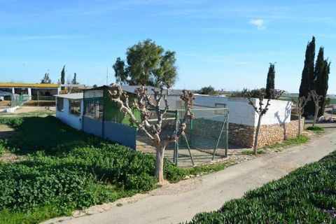 Landejendom i Valladolises, Murcia, Valladolises - € 429.000 | Ref: VALLADOLISESFARM/10254 - foto 10