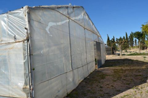 Landejendom i Valladolises, Murcia, Valladolises - € 429.000 | Ref: VALLADOLISESFARM/10254 - foto 12