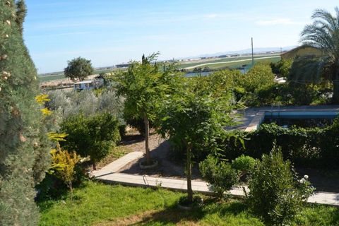 Landejendom i Valladolises, Murcia, Valladolises - € 429.000 | Ref: VALLADOLISESFARM/10254 - foto 13