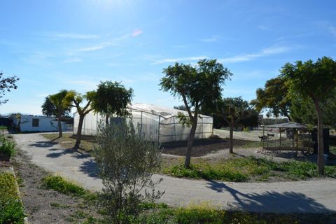 Landejendom i Valladolises, Murcia, Valladolises - € 429.000 | Ref: VALLADOLISESFARM/10254 - foto 20