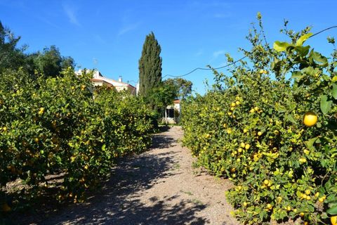 Landejendom i Valladolises, Murcia, Valladolises - € 429.000 | Ref: VALLADOLISESFARM/10254 - foto 22
