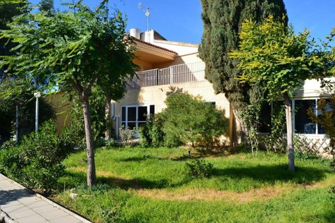 Landejendom i Valladolises, Murcia, Valladolises - € 429.000 | Ref: VALLADOLISESFARM/10254 - foto 32