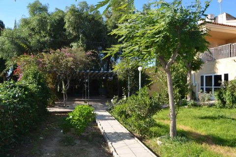 Landejendom i Valladolises, Murcia, Valladolises - € 429.000 | Ref: VALLADOLISESFARM/10254 - foto 33