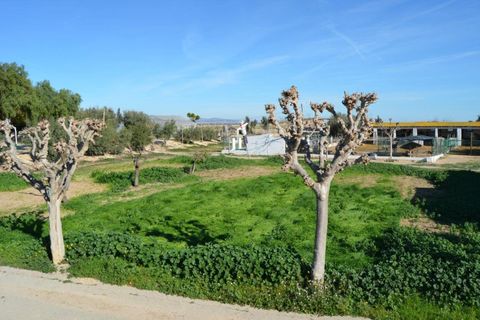 Landejendom i Valladolises, Murcia, Valladolises - € 429.000 | Ref: VALLADOLISESFARM/10254 - foto 35