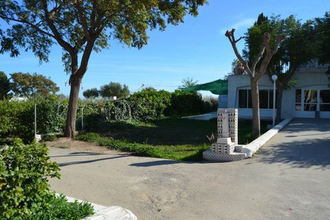 Landejendom i Valladolises, Murcia, Valladolises - € 429.000 | Ref: VALLADOLISESFARM/10254 - foto 38