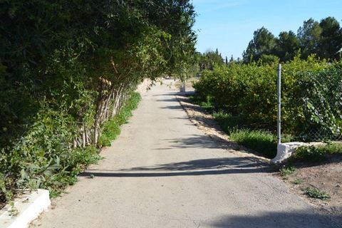 Landejendom i Valladolises, Murcia, Valladolises - € 429.000 | Ref: VALLADOLISESFARM/10254 - foto 39