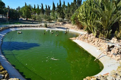 Landejendom i Valladolises, Murcia, Valladolises - € 429.000 | Ref: VALLADOLISESFARM/10254 - foto 41