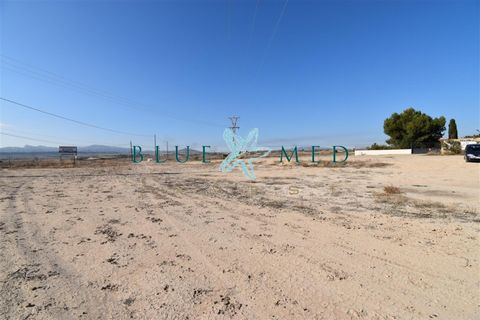 Terra a Pareton, Murcia, Pareton - € 149.900 | Ref: CROMEROSOLAR/10254 - foto 3