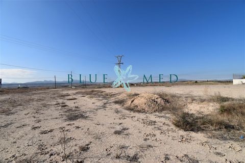 Terra a Pareton, Murcia, Pareton - € 149.900 | Ref: CROMEROSOLAR/10254 - foto 8