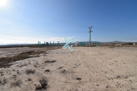 Terra a Pareton, Murcia, Pareton - € 149.900 | Ref: CROMEROSOLAR/10254 - foto 9