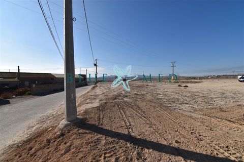 Terra a Pareton, Murcia, Pareton - € 149.900 | Ref: CROMEROSOLAR/10254 - foto 11