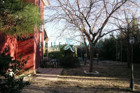 Landejendom i Cehegin, Murcia, Cehegin - € 365.000 | Ref: FINCA2HOUSESCEHEGIN/10254 - foto 9
