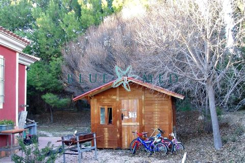 Landejendom i Cehegin, Murcia, Cehegin - € 365.000 | Ref: FINCA2HOUSESCEHEGIN/10254 - foto 24