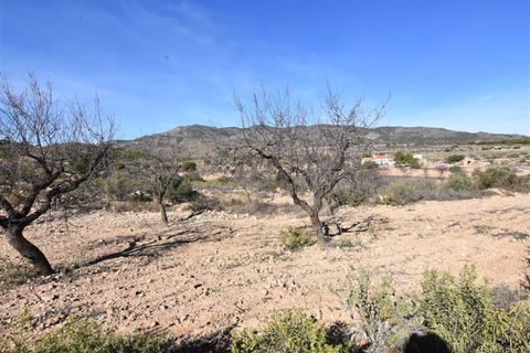 Landejendom i La Murta, Murcia, La Murta - € 154.900 | Ref: FINCALAMURTA/10254 - foto 25