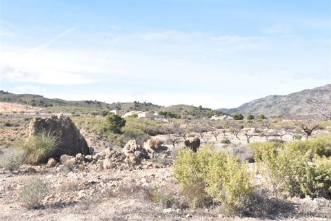 Landejendom i La Murta, Murcia, La Murta - € 154.900 | Ref: FINCALAMURTA/10254 - foto 33