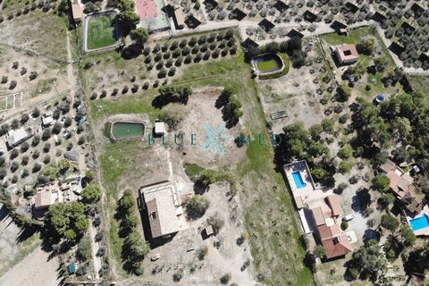 Landejendom i Leiva, Murcia, Leiva - € 425.000 | Ref: FINCACOLORADA/10254 - foto 29