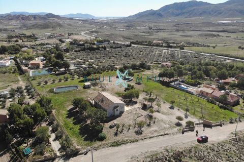Landejendom i Leiva, Murcia, Leiva - € 425.000 | Ref: FINCACOLORADA/10254 - foto 31