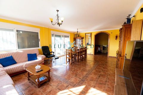 Landejendom i Leiva, Murcia, Leiva - € 425.000 | Ref: FINCACOLORADA/10254 - foto 46