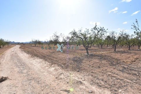 Landejendom i Pareton, Murcia, Pareton - € 499.995 | Ref: FINCACANADAS1/10254 - foto 6
