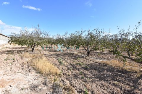Landejendom i Pareton, Murcia, Pareton - € 499.995 | Ref: FINCACANADAS1/10254 - foto 9
