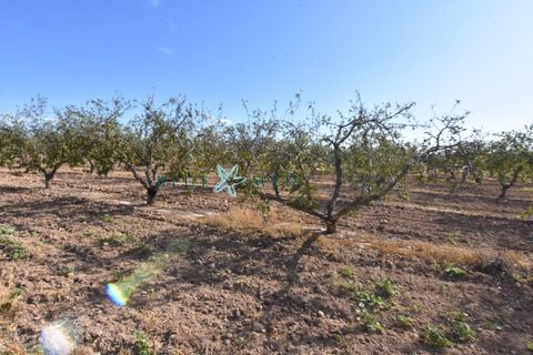 Landejendom i Pareton, Murcia, Pareton - € 499.995 | Ref: FINCACANADAS1/10254 - foto 10