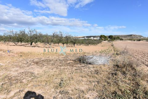Landejendom i Pareton, Murcia, Pareton - € 499.995 | Ref: FINCACANADAS1/10254 - foto 11