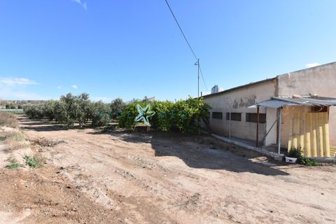 Landejendom i Pareton, Murcia, Pareton - € 499.995 | Ref: FINCACANADAS1/10254 - foto 13