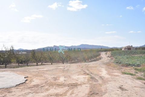 Landejendom i Pareton, Murcia, Pareton - € 499.995 | Ref: FINCACANADAS1/10254 - foto 15