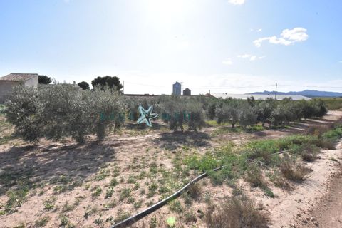 Landejendom i Pareton, Murcia, Pareton - € 499.995 | Ref: FINCACANADAS1/10254 - foto 17