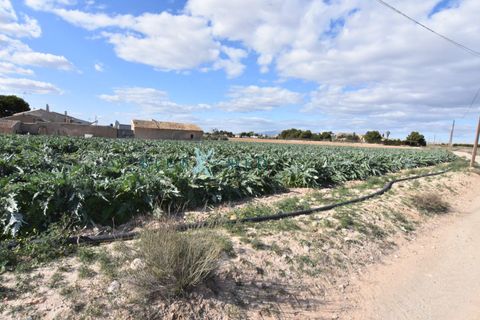 Landejendom i Pareton, Murcia, Pareton - € 499.995 | Ref: FINCACANADAS1/10254 - foto 19