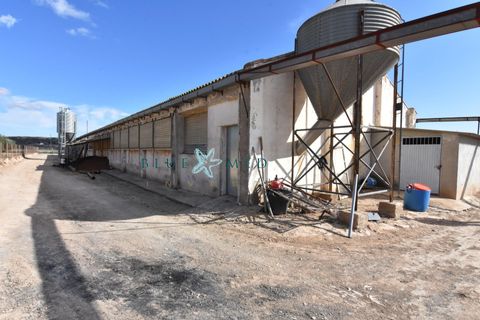 Landejendom i Pareton, Murcia, Pareton - € 499.995 | Ref: FINCACANADAS1/10254 - foto 21