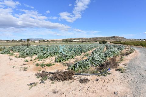 Landejendom i Pareton, Murcia, Pareton - € 499.995 | Ref: FINCACANADAS1/10254 - foto 22