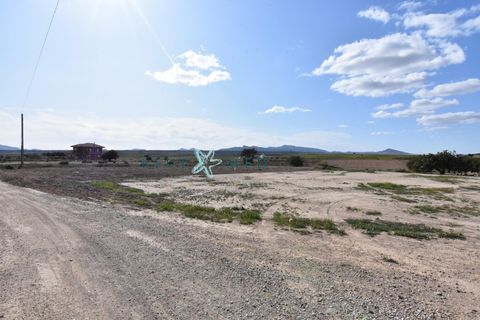 Landejendom i Pareton, Murcia, Pareton - € 499.995 | Ref: FINCACANADAS1/10254 - foto 23