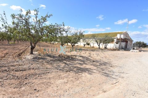 Landejendom i Pareton, Murcia, Pareton - € 499.995 | Ref: FINCACANADAS1/10254 - foto 24