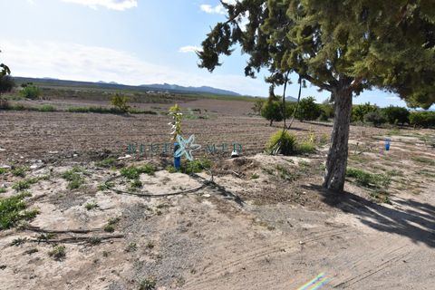 Landejendom i Pareton, Murcia, Pareton - € 499.995 | Ref: FINCACANADAS1/10254 - foto 27