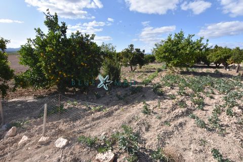 Landejendom i Pareton, Murcia, Pareton - € 499.995 | Ref: FINCACANADAS1/10254 - foto 28