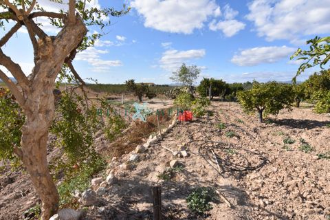 Landejendom i Pareton, Murcia, Pareton - € 499.995 | Ref: FINCACANADAS1/10254 - foto 29