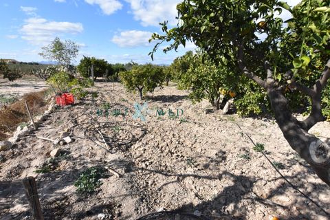 Landejendom i Pareton, Murcia, Pareton - € 499.995 | Ref: FINCACANADAS1/10254 - foto 30