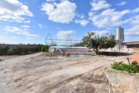 Landejendom i Pareton, Murcia, Pareton - € 499.995 | Ref: FINCACANADAS1/10254 - foto 34