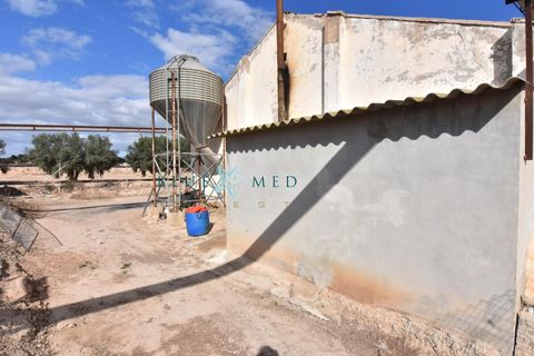 Landejendom i Pareton, Murcia, Pareton - € 499.995 | Ref: FINCACANADAS1/10254 - foto 38