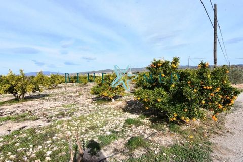 Landejendom i Leiva, Murcia, Leiva - € 599.995 | Ref: FINCALEIVAPOL/10254 - foto 5