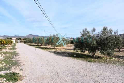 Landejendom i Leiva, Murcia, Leiva - € 599.995 | Ref: FINCALEIVAPOL/10254 - foto 6