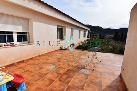 Landejendom i Leiva, Murcia, Leiva - € 599.995 | Ref: FINCALEIVAPOL/10254 - foto 26