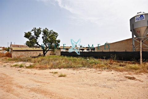 Villa i Pareton, Murcia, Pareton - € 279.000 | Ref: PARETON309/10254 - foto 11